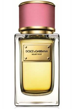 Dolce & Gabbana   Velvet Collection: Velvet Rose