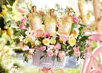 Guerlain Aqua Allegoria Bergamote Calabria