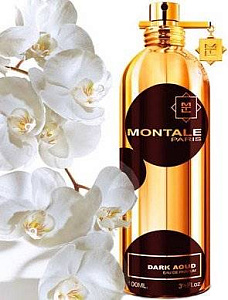 MONTALE   Dark Aoud