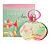 Salvatore Ferragamo  INCANTO Amity Salvatore Ferragamo  INCANTO Amity