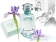 Tiffany Tiffany & Co Tiffany Tiffany & Co