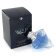 Chopard Wish Chopard Wish