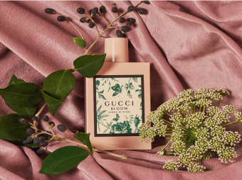 GUCCI Bloom Acqua Di Fiori