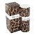 Dolce & Gabbana By