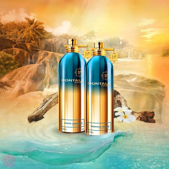 MONTALE Aoud Lagoon