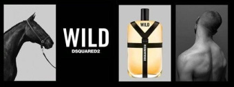 Dsquared2 Wild