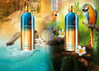 MONTALE Tropical Wood
