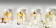 Boucheron Ambre D'Alexandrie Boucheron Ambre D'Alexandrie