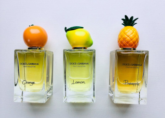Dolce & Gabbana Fruit Collection Orange