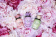 Dolce & Gabbana Dolce Peony Dolce & Gabbana Dolce Peony